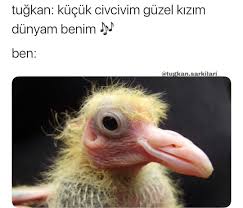 Buse Ceylin Sen Adli Kullanicinin Komik Seyler Panosundaki Pin 2020 Goruntuler Ile Komik Seyler Komik Capsler Komik