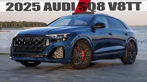 Image result for Waitomo Blue 2025 SQ8