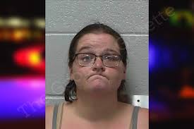 Kayla Holley — Gilmer County Jail Bookings