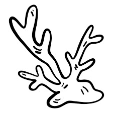 Download Reef Coral Stroke Transparent Png Svg Vector File
