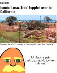 She speaks in a language understood within the peaceful mind of the sincere observer. I M The Lorax I Speak For The Trees Dankmemes