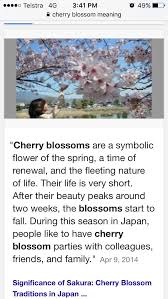 Pin On Garden Ideas