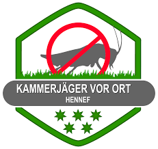 Die zahl der ortschaften liegt noch höher, wenn man die ortsteile, die zu ortschaften. Kammerjager Fur Hennef Sieg Diskret Und Professionell