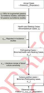 Flowchart Of The Disease And Observation Process Reflected