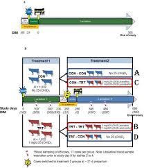 Learn vocabulary, terms, and more with flashcards, games, and other study . Effect Of 25 Hydroxyvitamin D3 During Prepartum Transition And Lactation On Production Reproduction And Health Of Lactating Dairy Cows Journal Of Dairy Science