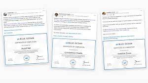 Blue ocean strategy online training. Blue Ocean Strategy Online Course