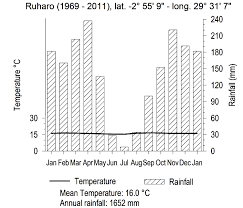Image result for Mimulopsis excellens