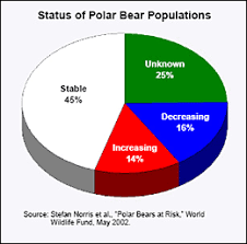 issues with polar bears and global warming news of interest tv