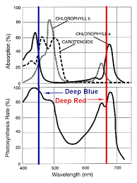 They have more than two colors and the appropriate level of brightness to ensure healthy foliage, flowers, and. Full Spectrum Led 400nm 840nm Vs Grow Light Led Red Blue Electrical Engineering Stack Exchange