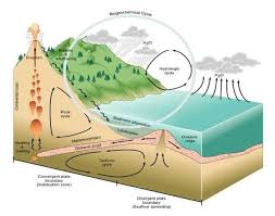 Berdasarkan skema tersebut, bahan dan produk yang dihasilkan oleh nitrobacter sp. Daur Biogeokimia Pengertian Siklus Biogeokimia Dan Contoh