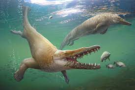 Rare Fossils Of Early Whales Show They May Have Swam Doggy Paddle Style It May Not Have Been Elegan Prehistoric Wildlife Prehistoric World Prehistoric Animals