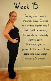 Your baby has come a long way in only a few weeks. Bumpdate 14 Weeks And 15 Weeks Pregnant The Well Planned Mama Pregnancy