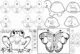 Pin En Act Matematicas