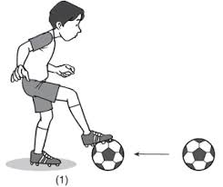 We did not find results for: Teknik Dasar Sepak Bola Dan Penjelasannya Singkat Lengkap