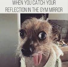 When You Catch Your Reflection In The Gym Mirror Gym Memes Funny Gym Humor Funny Workout Shirts