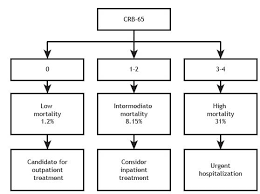 We did not find results for: Scielo Brasil 2018 Recommendations For The Management Of Community Acquired Pneumonia 2018 Recommendations For The Management Of Community Acquired Pneumonia