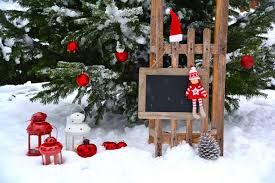 Sie blühen auch in der dunklen jahreszeit und dekorieren die wohnung mit frischen farben: Garten Weihnachtlich Dekorieren