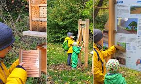 Naturlehrpfad Am Notzinger Weiher Bei Erding Schoner Kurzer Herbst Ausflug Mit Kindern Ich Spring Im Dreieck Ausflug Ausfluge Mit Kindern Perfekter Ort