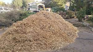 Where can i pick up free wood chips near me. Free Wood Chips Delivery In Reno Nv Arborpros Reno Tree Services