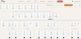 If you're already an expert, you can dive into the more advanced features. How To Build Your Family Tree With Findmypast Blog Findmypast Co Uk
