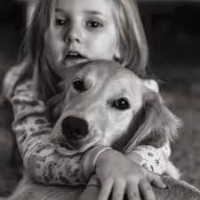 25 cute Golden Retriever puppies for sale in Murfreesboro, Tennessee