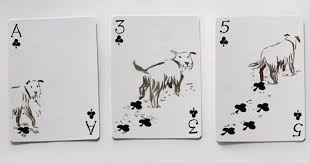 Choose the cat, dog, horse, bird, fish and more that stars in your card. These Dog Playing Cards Have The Most Awesome Illustrations Ever Bored Panda