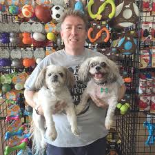 Holistic for pets 5411 fruitville rd, sarasota, fl 34232 Dog Gone Holistic Comes To Riverview The Observer News South Shore Riverview Sun City Center