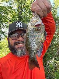 Can I get a fish ID please? TIA!