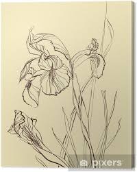 This beautiful flower stencil is ideal for modern floral and botanical home decorating. Brush Drawing Iris Flower Canvas Print Pixers We Live To Change