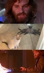 be careful who you trust not all humans can be trustworthy in your unit