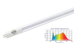 But if you need vegetative bulbs to promote plant growth, you can exchange these bulbs for 6,500 kelvin bulbs that are meant just for this purpose. 25w T5 Ho Ballast Bypass 4ft Horticultural Lamp Sun White Spectrum Active Grow