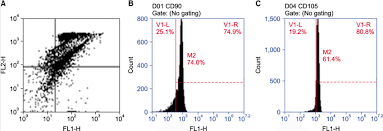 Flow Cytometry Chart Showing Double Stain For Cd34 Fl1 H