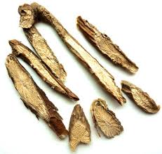 Image result for Tinospora tenera