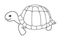 coloriage de dessins gratuits a imprimer pour les enfants maternelle butterfly coloring page easter pictures colouring jack daniels