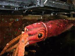 You can use your mobile device without any trouble. Just A Blog About Animatronics Yourghosthost 20 000 Leagues Under The Sea
