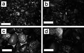 The four substrate classes used: (a) small gravel, (b) large gravel,...