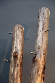 Passend zur gewählten holzbehandlung sollten sie auch immer einen geeigneten pinsel mit der richtigen borste zur hand nehmen. Baumstamm Als Garderobenstander Images Slike