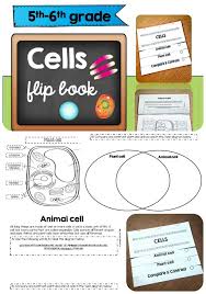 Animal cells usually have an irregular shape, and plant cells usually have a regular shape. This Flip Book Will Help Students Identify The Characteristics Of Plant And Animal Cells This Resource Is Adapt Flip Book Plant And Animal Cells Science Cells