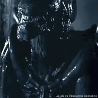 12 views · march 9, 2020. Alien Vs Predator Gifs Get The Best Gif On Gifer