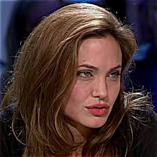Angelina Jolie Fanfic