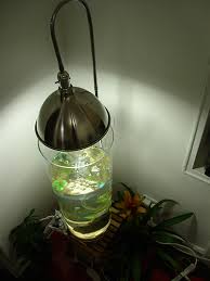 Diy Ikea Vase Aquarium Contest Work In Progress Ikea Vases Ikea Diy Ikea