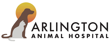 Магазин подарков, антиквариат и предметы старины. Arlington Animal Hospital Jacksonville Florida Poisonous Plants