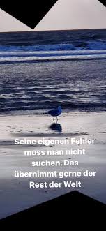 Fehler Machen Erlaubt Wiggerls World