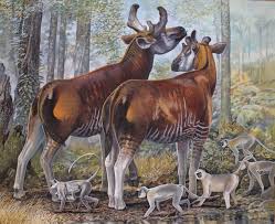 Последние твиты от peter schouten (@ptrschtn). Sivatherium Giganteum And Presbytis Entellus By Peter Schouten Ancient Animals Prehistoric Animals Prehistoric Wildlife