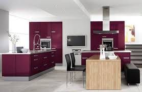eggplant purple kitchen cabinets