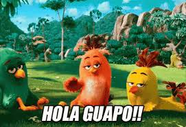 Bird Is The Word Gif Https Encrypted Tbn0 Gstatic Com Images Q Tbn 3aand9gcthvlgag7ax34dnrdickbkltp4p Ajsdxrwpq Usqp Cau