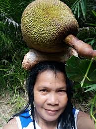 Hello girls🌺 5x25✨ Welcome SPLITS ✂️✂️ HONEST HOST 💫