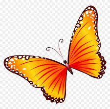 We did not find results for: 100 Butterfly Clipart Yellow And Red Butterfly Free Transparent Png Clipart Images Download