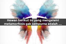 Instrumen hasil belajar digunakan untuk menilai kualitas hasil belajar siswa. Edisi Ipa Yakin Kamu Lebih Pintar Dari Anak Kelas 4 Sd