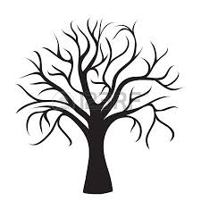 Schwarz Baum Ohne Blatter Auf Weissem Hintergrund Vektor Bild Baum Schablone Baum Zeichnung Baumbilder